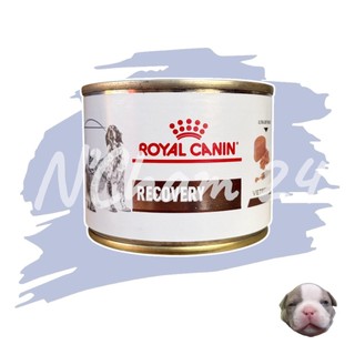 โปรดอ่านก่อนสั่ง Royal Canin Recovery 195g อาหารสัตว์ป่วย หรือพักฟื้น สุนัข และแมว 1 กระป๋อง