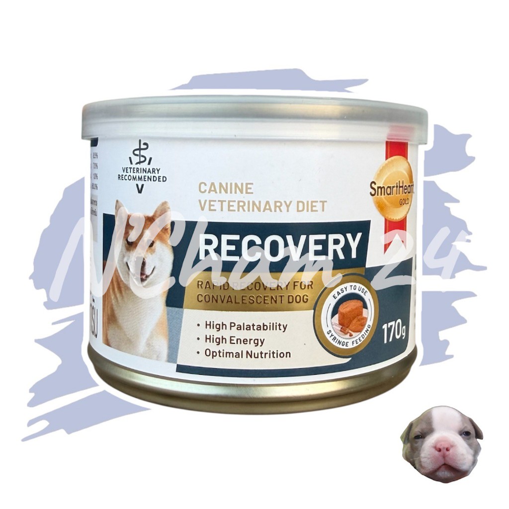 โปรดอ่านก่อนสั่ง Smart Heart Gold Recovery Dog อาหารสุนัขป่วย พักฟื้น ขนาด170g./กระป๋อง