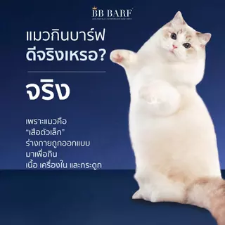 บาร์ฟแมว สูตรไก่ สูตรเป็ด อาหารแมว บีบี บาร์ฟ BB BARF อาหารสดดิบสำหรับแมว 12 กระปุก