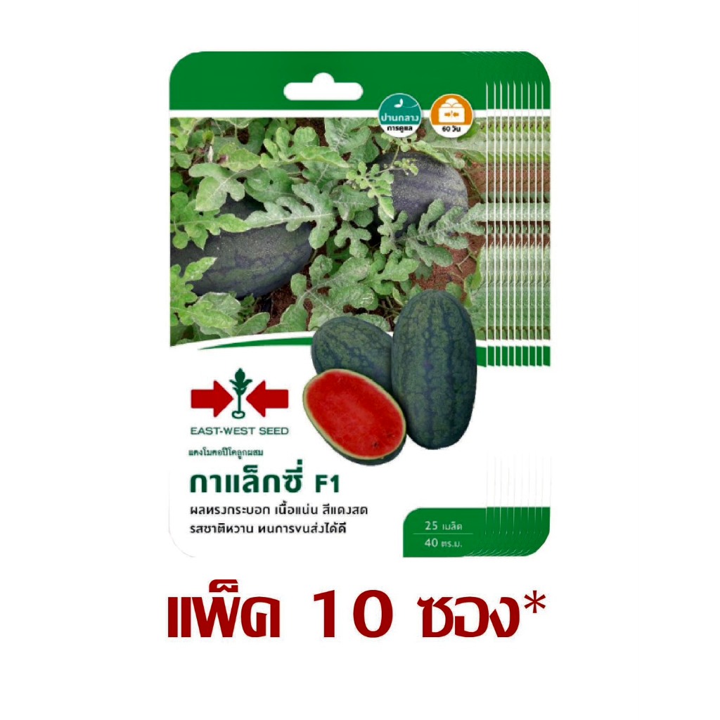 แตงโมตอปิโดลูกผสม กาแล็กซี่ F1 ศรแดง (ยกแพ็ค 10 ซอง)