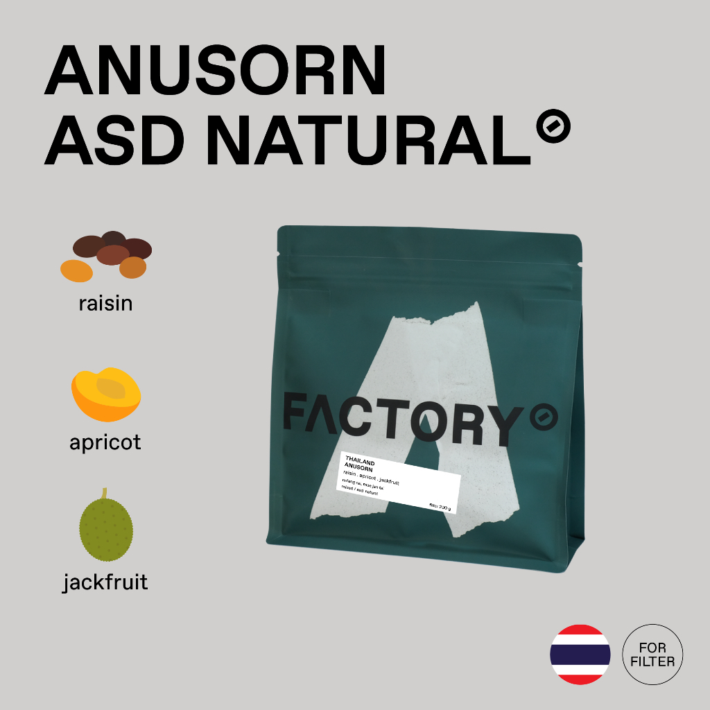 Factory Coffee เมล็ดกาแฟ Mae Jan Tai - Anusorn l ASD Natural Process (บรรจุ200g)
