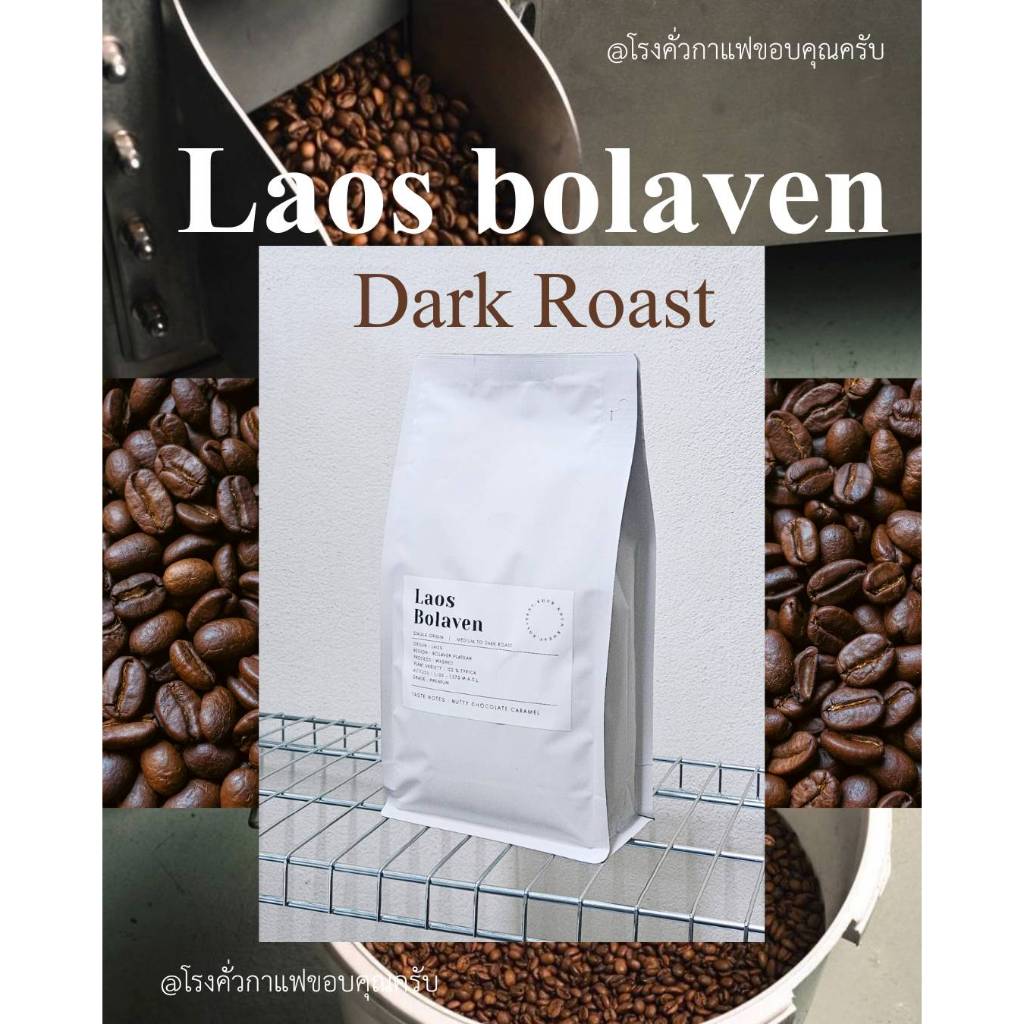 กาแฟลาวโบลาเวน Bolaven, เมล็ดกาแฟคั่วเกรดAA อาราบิก้า คั่วเข้ม,Premium+,Laos Bolaven Arabica, Dark Roast