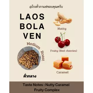 กาแฟลาวโบลาเวน Bolaven, เมล็ดกาแฟคั่วเกรดAA อาราบิก้า คั่วกลาง,Premium+,Laos Bolaven Arabica, Medium Roast