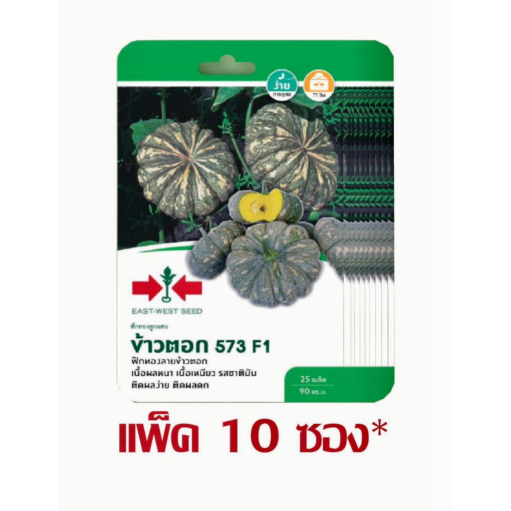 ฟักทองลูกผสม ข้าวตอก 573 F1 25 เมล็ด ศรแดง (ยกแพ็ค 10 ซอง)
