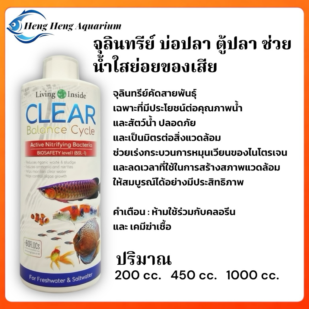 จุลินทรีย์ Living inside แบคทีเรียช่วยสลายขี้ปลา ปรับสภาพน้ำใส