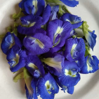 ผงดอกอัญชัน 100% (Butterfly Pea Flower Powder) ขนาด 100 กรัม สีฟ้าน้ำเงินธรรมชาติ จากดอกอัญชันแท้