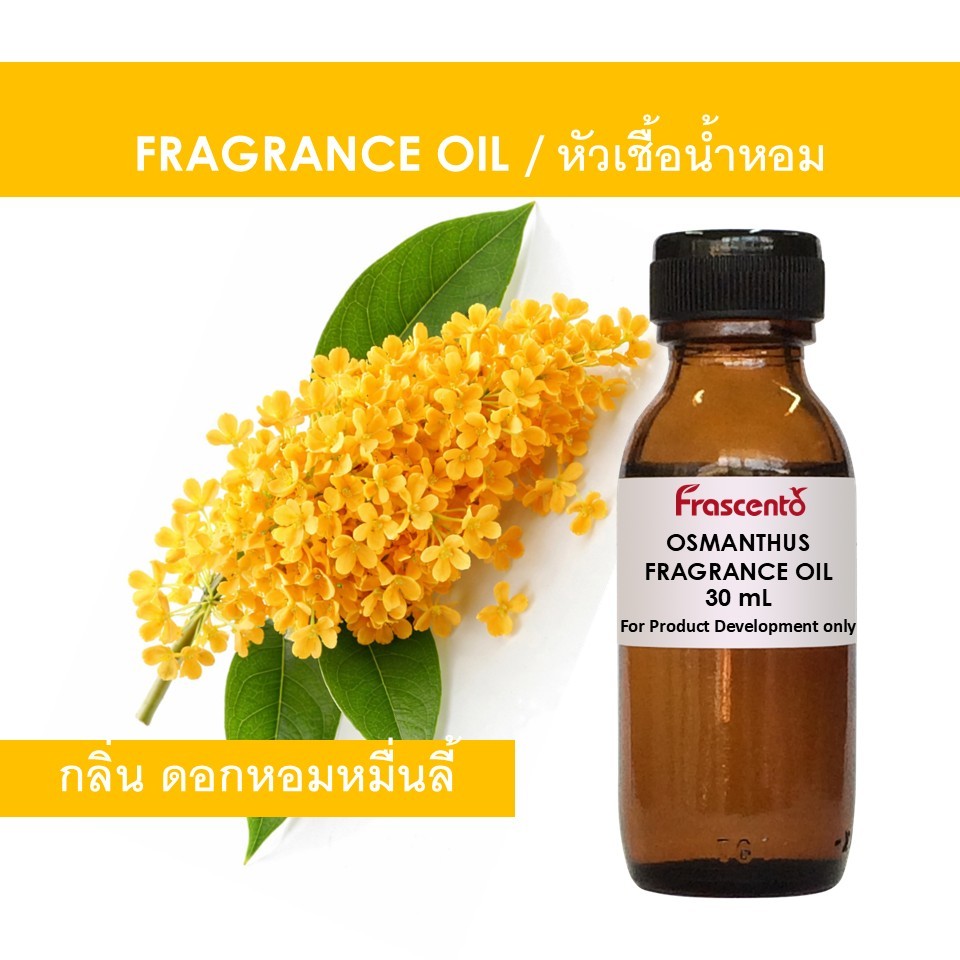 OSMANTHUS FRAGRANCE OIL - หัวน้ำหอม กลิ่น ดอกหอมหมื่นลี้ ไม่มีส่วนผสมแอลกอฮอล์