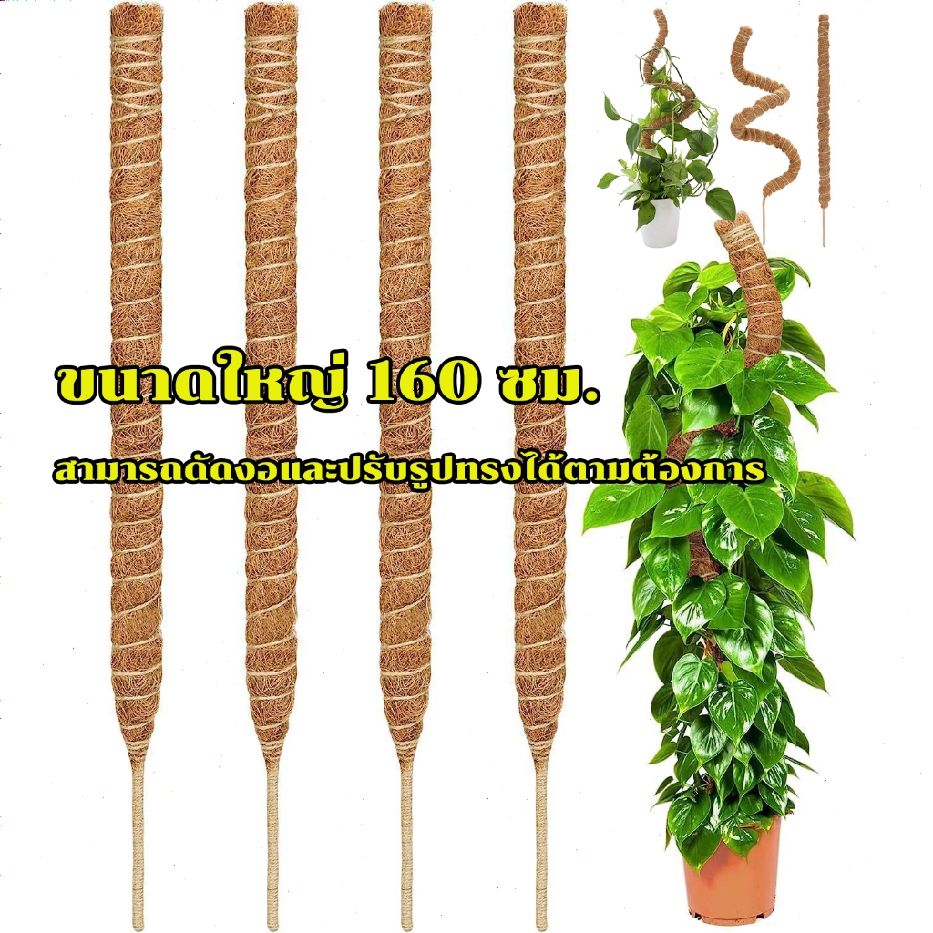 เสาใยมะพร้าว หลักไม้เลื้อย 30-160ซม ดัดทรงได้ รากเกาะดี เสาค้ำต้นไม้