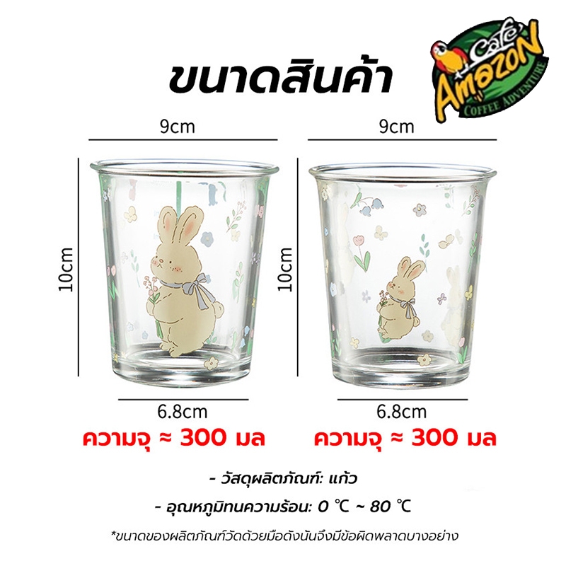 [St.Coco Cafe]แก้วน่ารัก 300มล. ลายการ์ตูน กระต่าย สไตล์เกาหลี วัสดุแก้ว แก้วกาแฟ หนาพิเศษ PH3X