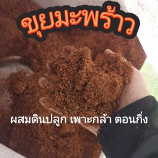 ขุยมะพร้าวละเอียด 1kg