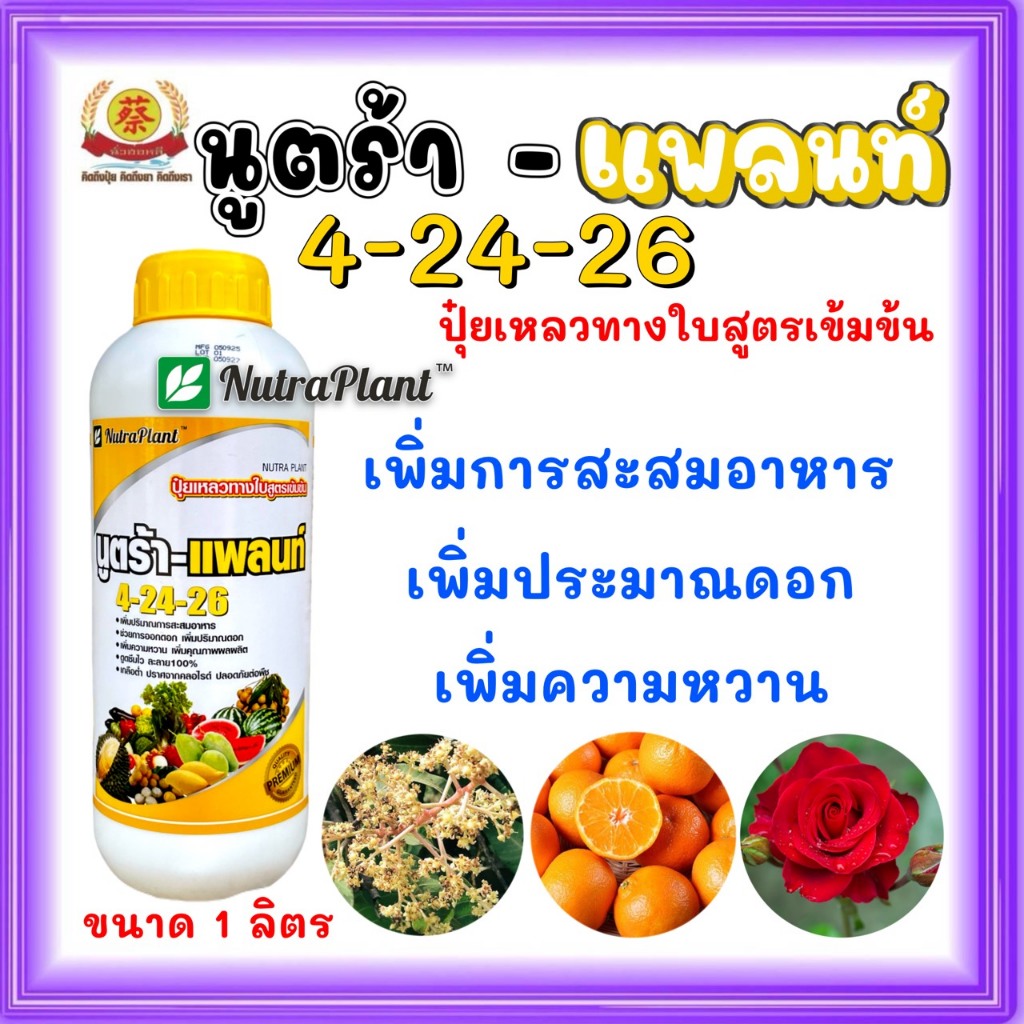 ปุ๋ยน้ำ4-24-26 นูตร้าแพลนท์ สะสมอาหาร ให้พร้อมออกดอก เปิดตาดอก 1ลิตร