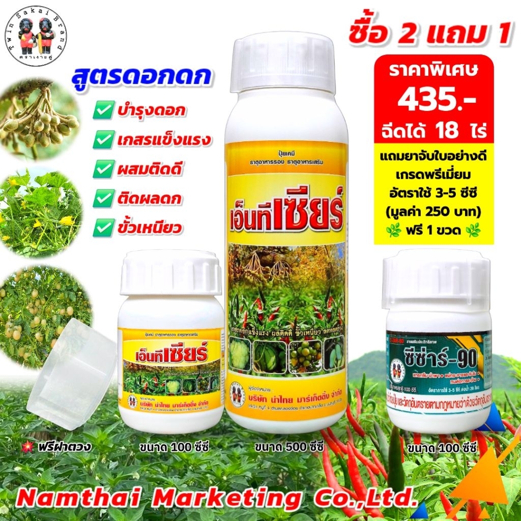 ตราเงาะคู่ เอ็นทีเซียร์ ดอกดก เกสรแข็งแรง ผสมติดดี ผลดก ขั้วเหนียว กันผลแตก