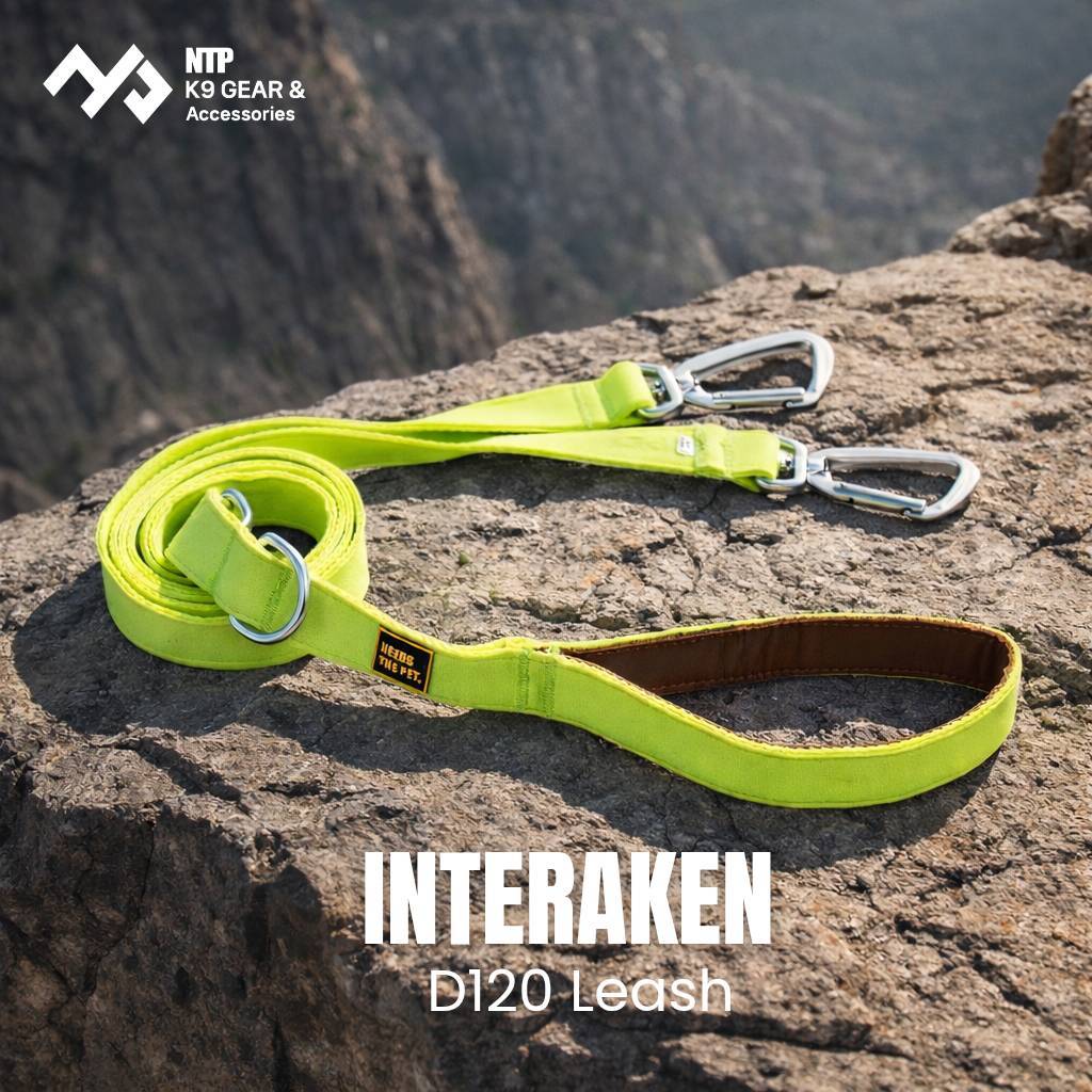 NTP สายจูงสุนัขแบบ 2 หัวล็อค Interlaken D120 leash (ความยาว 1.2 เมตร)