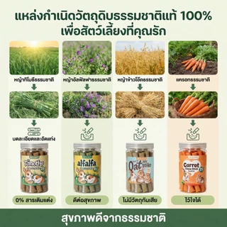 PETLUSCI หญ้าอัดแท่ง ทิโมธี โอ๊ต อัลฟัลฟ่า แครอท สำหรับลับฟันสัตว์ฟันแทะ บรรจุถุงซิปล็อค 25 แท่ง