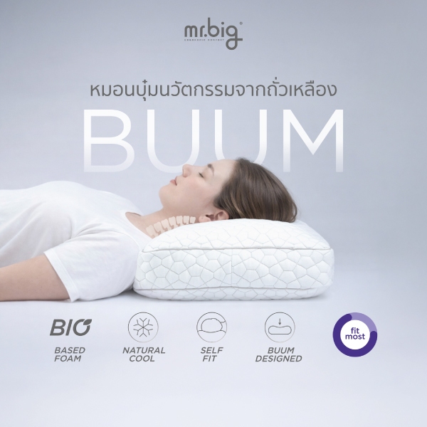 mr.big BUUM BioFOAM Pillow with Refill หมอนโฟมถั่ว