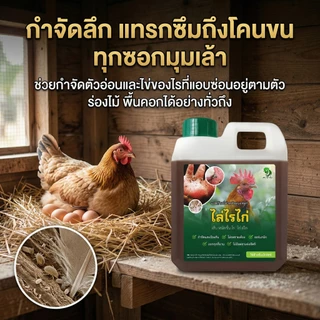 [ขายดี] ดร.ฟาร์ม น้ำยาสมุนไพรกำจัดไรไก่ ริ้น เห็บ ปรสิตร สูตรเข้มข้น ไล่ยกเล้า