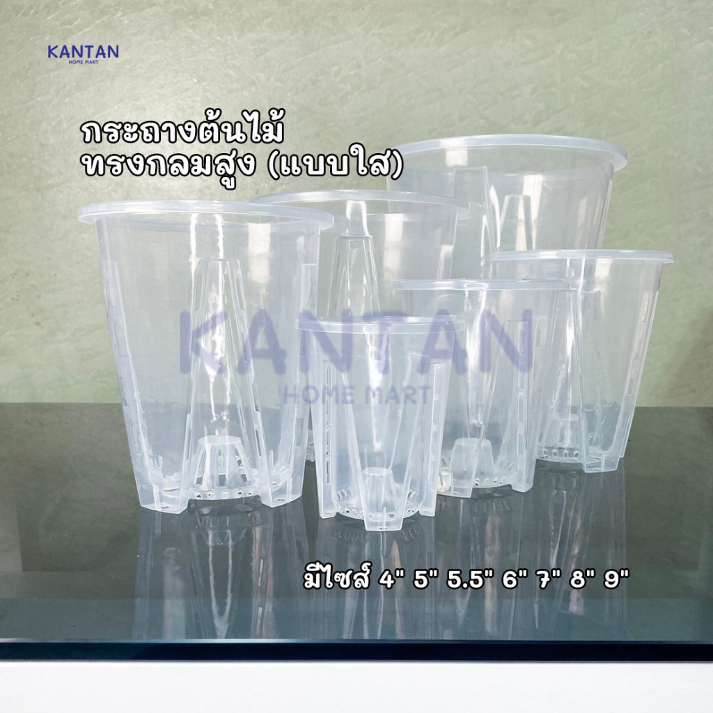 กระถางต้นไม้พลาสติก ทนทานใช้ได้นาน  กล้วยไม้ ++ทรงใสสูง++ กระถางมินิมอล ต้นไม้มงคล
