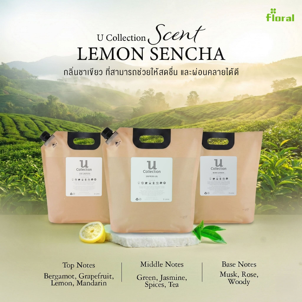 U Collection แชมพูผสมครีมนวด 2in1 ขนาด 3 ลิตร | กลิ่น Lemon Sencha หอมสะอาด สดชื่น ลดอาการคันและความ