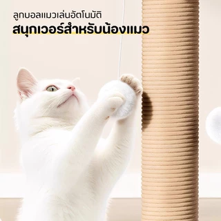 PET-RECORD 2in1 คอนโดแมว เสาฝนเล็บแมว ลับเล็บแมว ที่รับเล็บแมว ทนต่อการสึกหรอ วัสดุไม้เนื้อแข็ง
