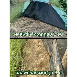 💥เกรด AAA💥 ผ้าคลุมดิน ผ้าคลุมหญ้า พลาสติกคลุมวัชพืช คลุมวัชพืช ผ้าคลุมวัชพืช น้ำซึมผ่านได้ คลุมวัชพืช 50/100m