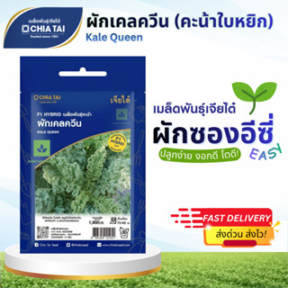 Easy เมล็ดพันธุ์ เคล ควีน 5กรัม คะน้าใบหยิก เจียไต๋ Kale Que…