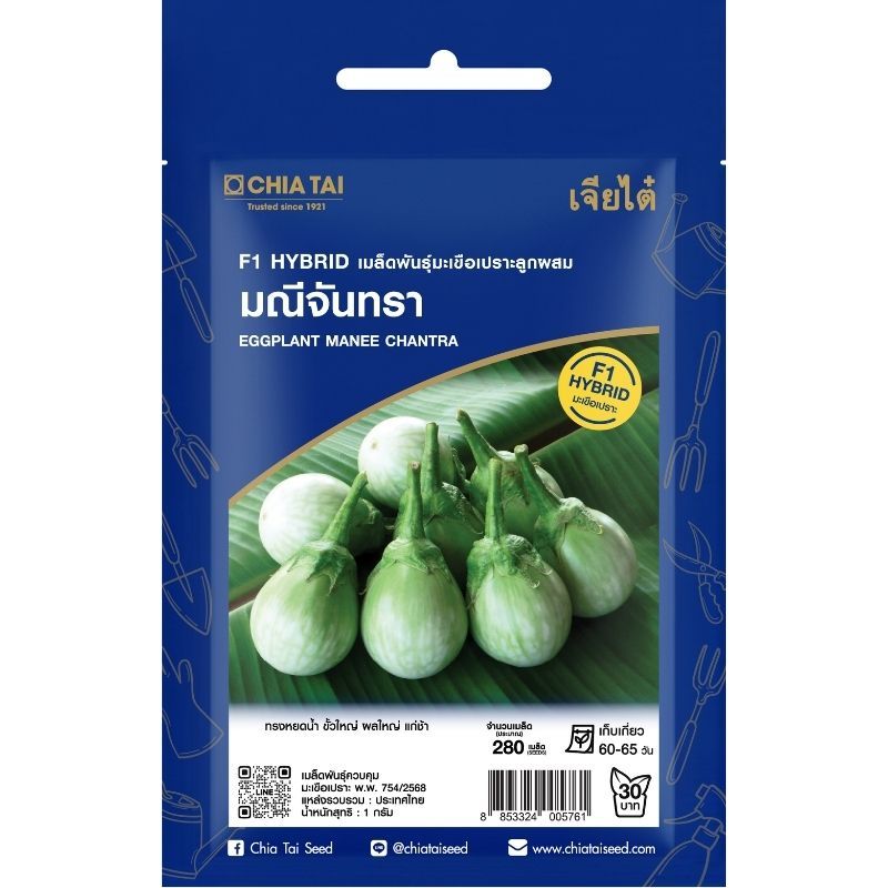 เมล็ดพันธุ์ มะเขือเปราะ มณีจันทรา เจียไต๋