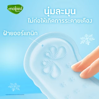Molped โมลเพด ไอซี่คูล แผ่นอนามัยสูตรเย็น แบบมาตรฐาน จำนวน 14 ชิ้น