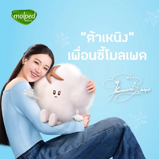 Molped โมลเพด ไอซี่คูล สลิม 0.1 ผ้าอนามัยสูตรเย็น สำหรับกลางวัน แบบมีปีก 25 ซม. จำนวน 14 ชิ้น