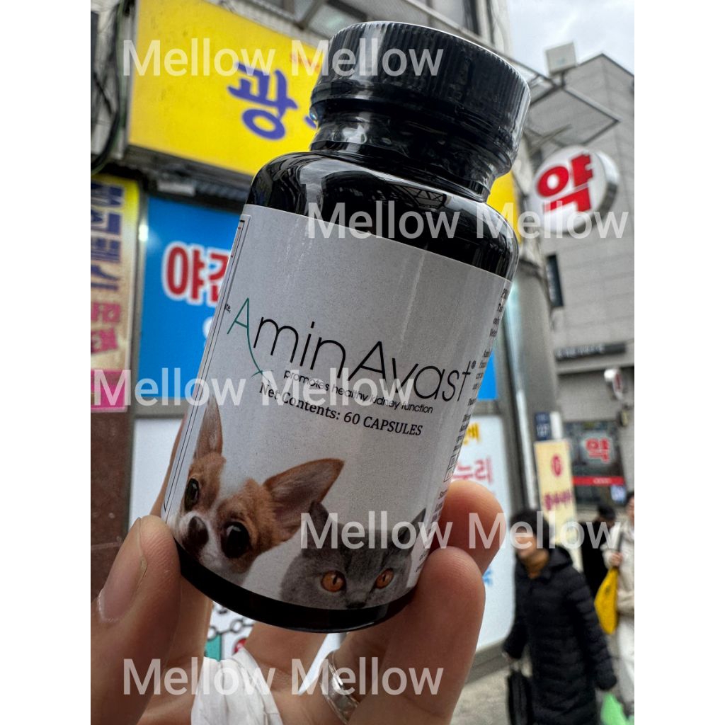 AminAvast บำรุงไตสุนัขและแมวสำหรับสัตว์เลี้ยงสูงวัย สูตรเดียวกับ Renavast (60 เม็ด)[พร้อมส่ง.ของแท้]