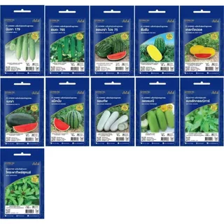 เมล็ดผักเจียไต๋ ซองอีซี่ ซื้อ 199 บาทขึ้นไป แถมฟรี 2 รายการ ออกใบกํากับภาษีได้