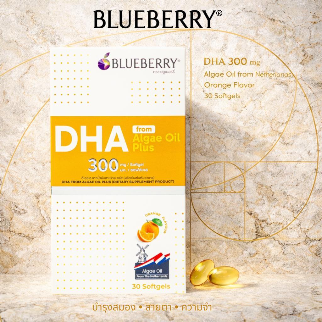 Blueberry® DHA 300 mg 30 Softgel บลูเบอร์รี่ ดีเอชเอ 300 มิลลิกรัม 30 ซอฟต์เจล