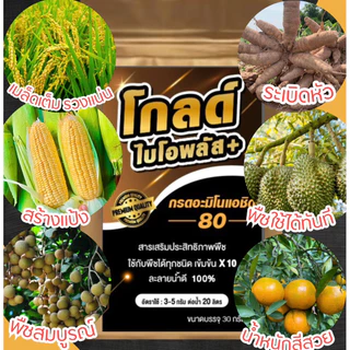 โกลด์ไบโอพลัส สูตรเร่งน้ำหนัก ไซส์จัมโบ้ ระเบิดไซส์ น้ำหนักดี สีสวย