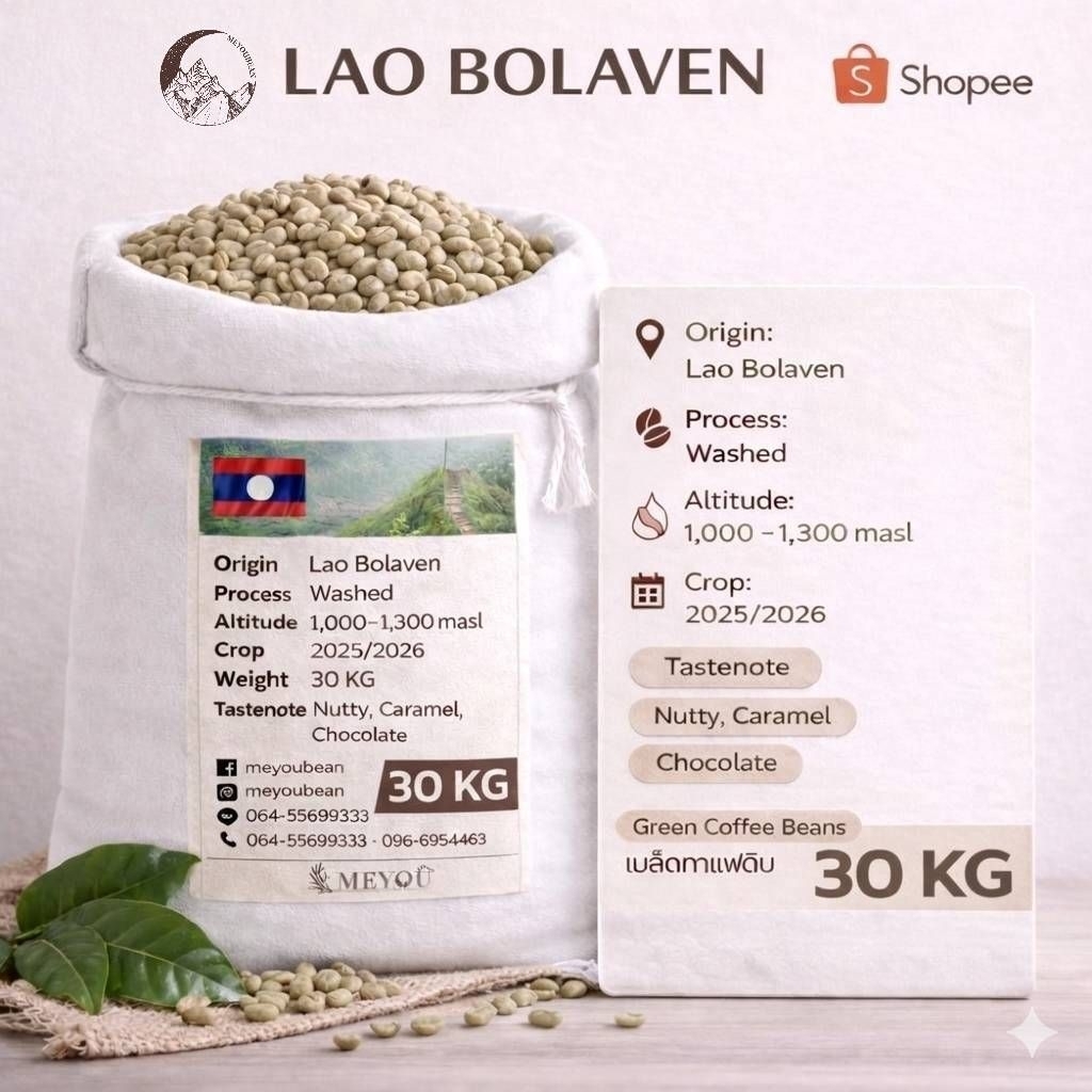 ​☕️ [ยกกระสอบ 30 KG] เมล็ดกาแฟดิบ Lao Bolaven (Washed Process) - สดใหม่ Crop 2025/2026