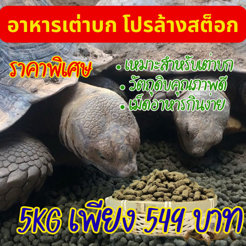 อาหารเต่าบก โปรตีนสูง เม็ดอาหารเต่า 5kg / 10kg โปรล้างสต็อก ราคาพิเศษ