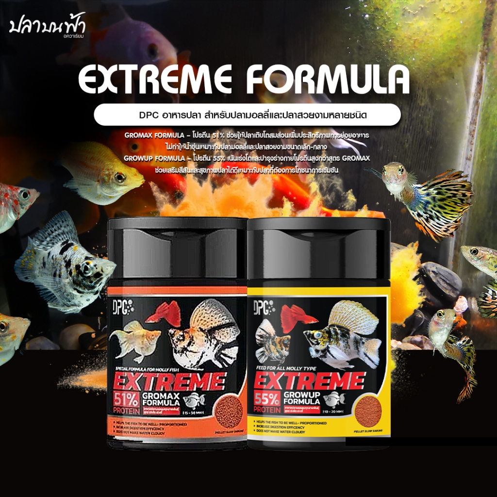 อาหารปลาบอลลูน Extreme Formura สำหรับลูกปลา และปลาโตเต็มวัย อาหารปลาบอลลูน ปลาสอด ปลาหางนกยูง และปลาสวยงามทุกชนิด