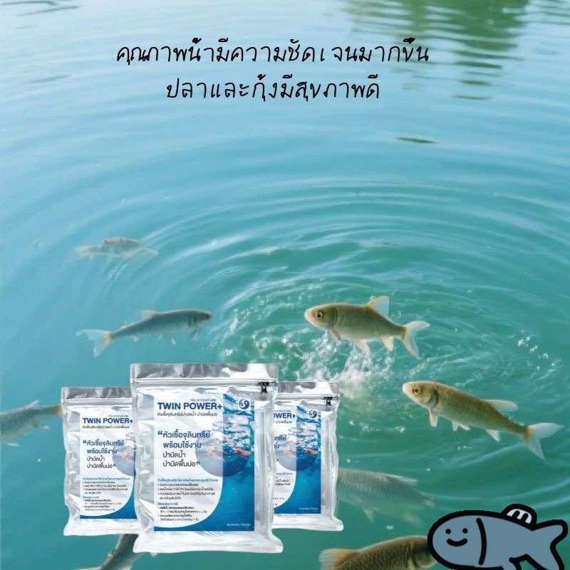 ไม่ต้องเปลี่ยนน้ำ จุลินทรีย์น้ำใสบ่อปลาจุลินทรีย์ ปลา แบคทีเรียน้ำใส สลายอุจจาระปลา ขจัดสารพิษจุลินทรีย์เพาะเ
