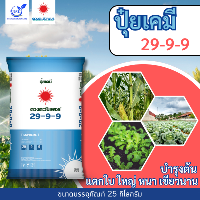 แม่ปุ๋ย 29-9-9 ซัลเฟต กระสอบ 25Kg (บ.ดวงตะวันเพชร)