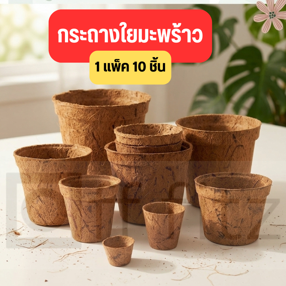 กระถางใยมะพร้าว กระถางต้นไม้  ปลูกลงดินได้เลย รากไม่ขาด อุ้มน้ำ ระบายอากาศดี [แพ็ค 10 ชิ้น]