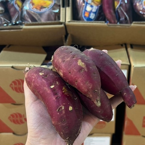 มันหวานยี่ห้อขายดี 🍠  แพ๊ค 500กรัม สายพันธุ์ เบนิฮารุกะ ญี่ปุ่นแท้   นึ่ง อบ เผา หวานมัน อร่อยมาก