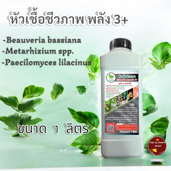 หัวเชื้อ บิวเวอร์เรีย+เมธาไรเซียม+ พาซิโลมัยซิส สำหรับ กำจัดและป้องกัน เพลี้ย และ แมลงศัตรูพืช