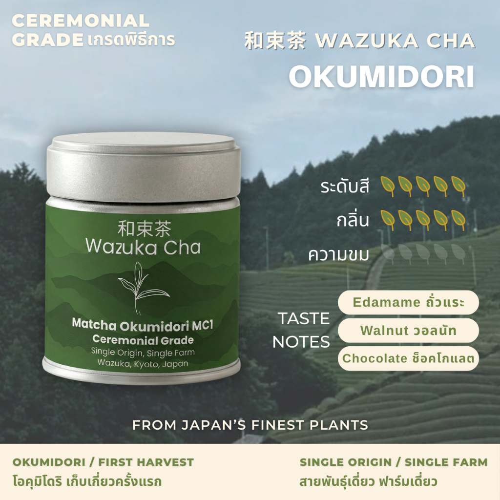 Matcha Okumidori [Ceremonial Grade] ผงมัทฉะญี่ปุ่น เกรดพิธีการ 30 / 100g