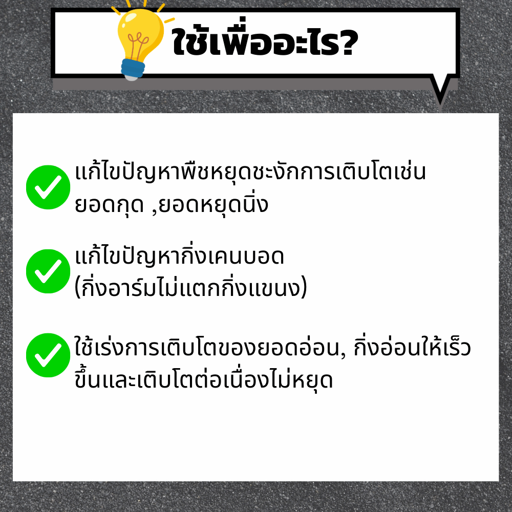 PGS1 น้ำยาสร้างยอด เร่งการเติบโต – ชนิดผสมน้ำพ่น ราคา ถูกที่สุด ดีลบีเคเค แกลเลอรีภาพที่ 3