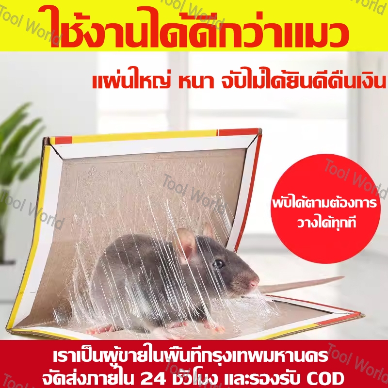 แผ่นกาวดักหนู แบบเต็มแผ่น กาวเหนียว ดักหนู ใช้งานง่าย สำหรับบ้าน ร้านค้า โกดัง