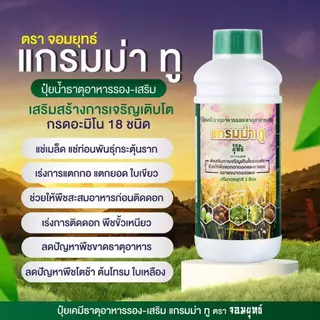 แกรมม่าทู (Gramma2) ขนาด 500 ซีซี ปุ๋ยน้ำเข้มข้น สูตรเร่งโต ใบเขียวเข้ม ทนโรค ต้นสวยสมบูรณ์ ​