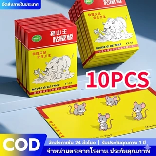 10PCS กาวดักหนู แผ่นกาวดักหนูสำเร็จรูป พร้อมถาด ที่ดักหนู ไม่มีกลิ่น หนูตายอยู่กับที่ ไม่ต้องหาซาก กาวดักหนู กับดักหนู