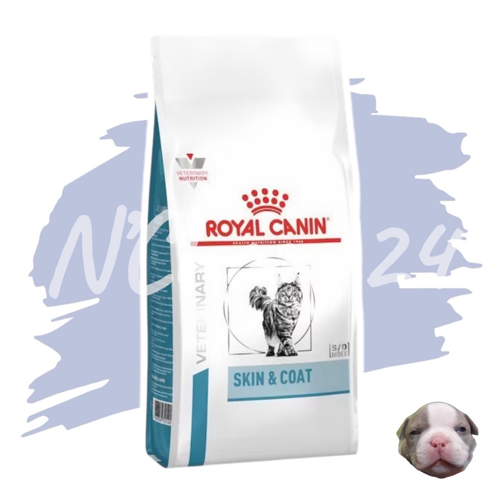 Royal Canin Skin&Coat 3.5 kg ใช้สำหรับแมวอายุ 1 ปี ขึ้นไป แมวที่เป็นโรคผิวหนัง