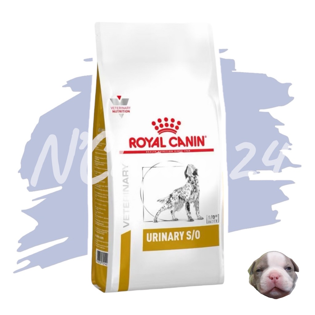 Royal canin urinary s/o dog ขนาด 2kg 7.5kg อาหารสุนัข กระเพาะปัสสาวะ