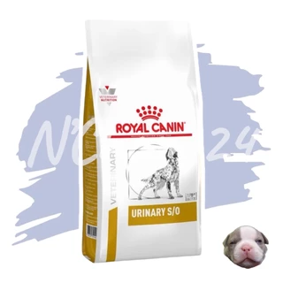 Royal Canin Urinary s/o dog13kg อาหารสุนัข นิ่วในกระเพาะปัสสาวะ