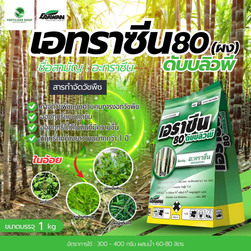 เอราซีน อาทราซีน 80 WP ขนิดผง ใช้กำจัดวัชพืชใน ไร่อ้อย ข้าวโพด (ขนาด 1kg) เอราวัณ
