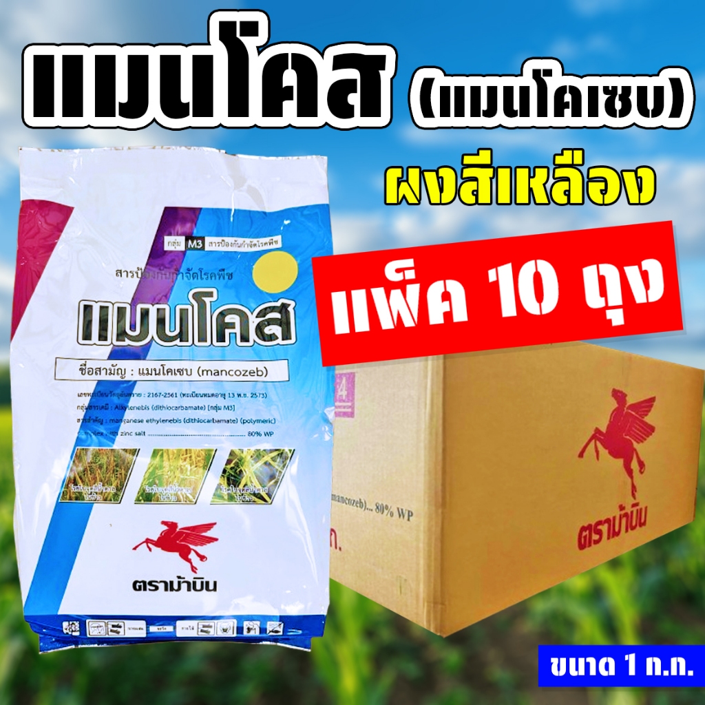(แพ็ค10ถุง) แมนโคส (แมนโคเซบ 80%) ขนาด 1 ก.ก. ป้องกันกำจัดเชื้อรา แอนแทรคโนส โรคสแคป เนื้อสีเหลือง
